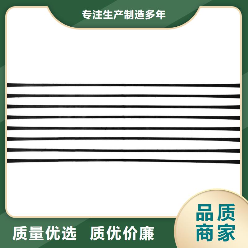 单向拉伸塑料格栅三维植被网选择大厂家省事省心本地供应商