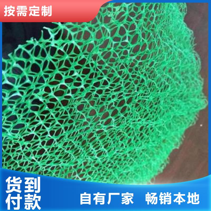 三维植被网复合土工膜多种规格库存充足经久耐用