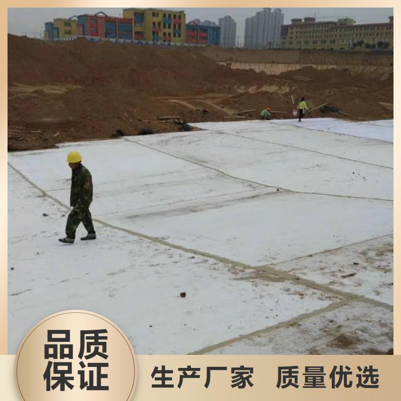 防水毯_【玻璃纤维土工格栅】品质做服务产品细节参数