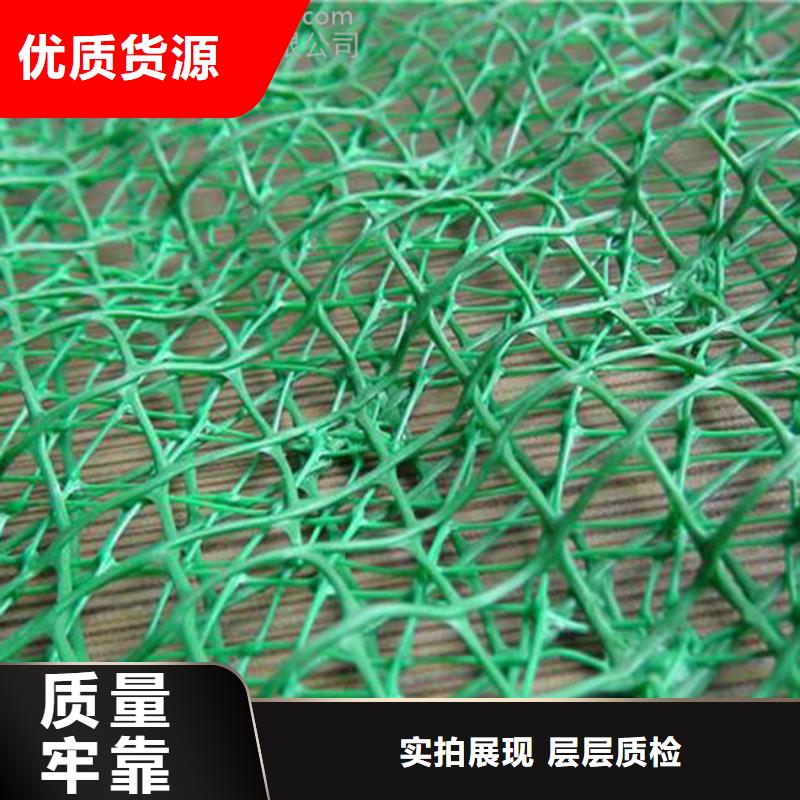 【三维植被网土工膜细节决定品质】当地公司