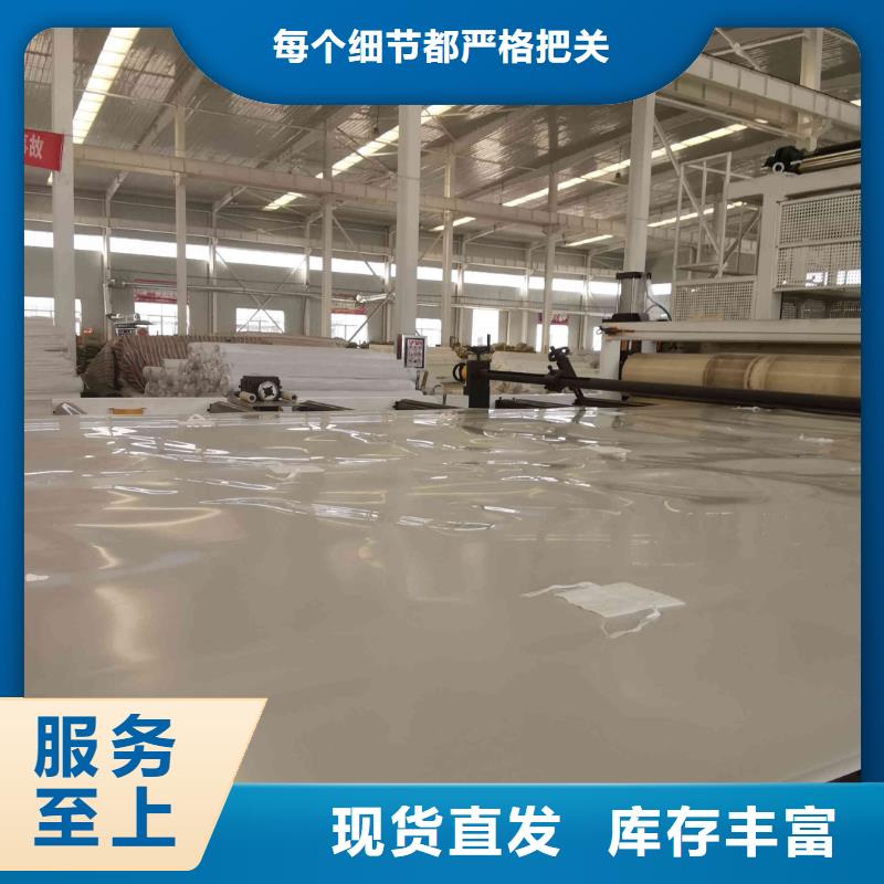 EVA防水板【护坡土工网】库存丰富当地生产厂家