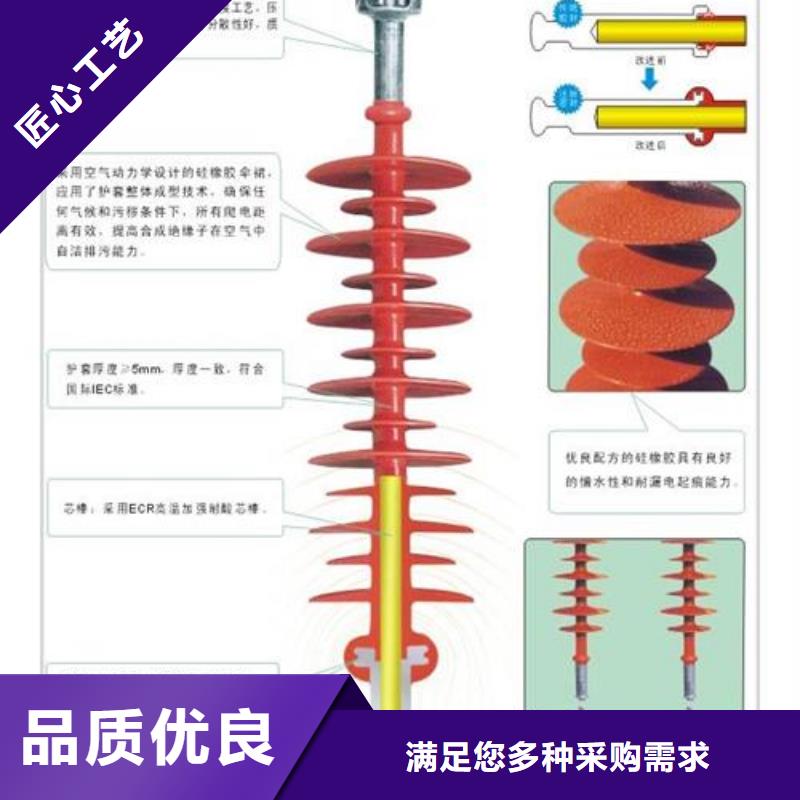 【绝缘子,穿墙套管销售团队精选优质材料】本地生产商