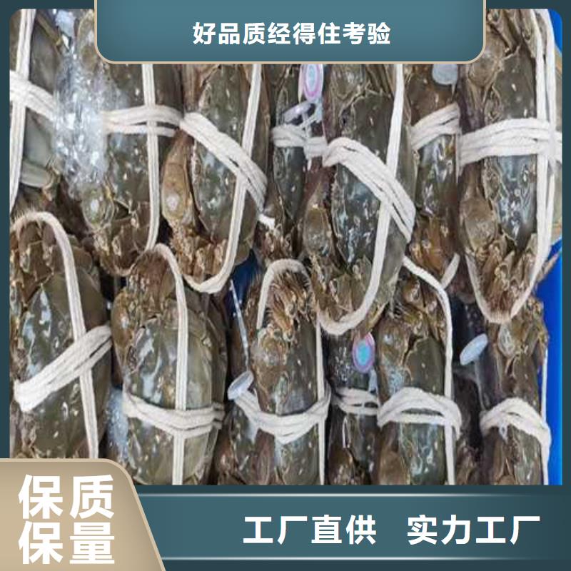 阳澄湖买蟹这里好苏州莲花岛顾记蟹庄合作共赢