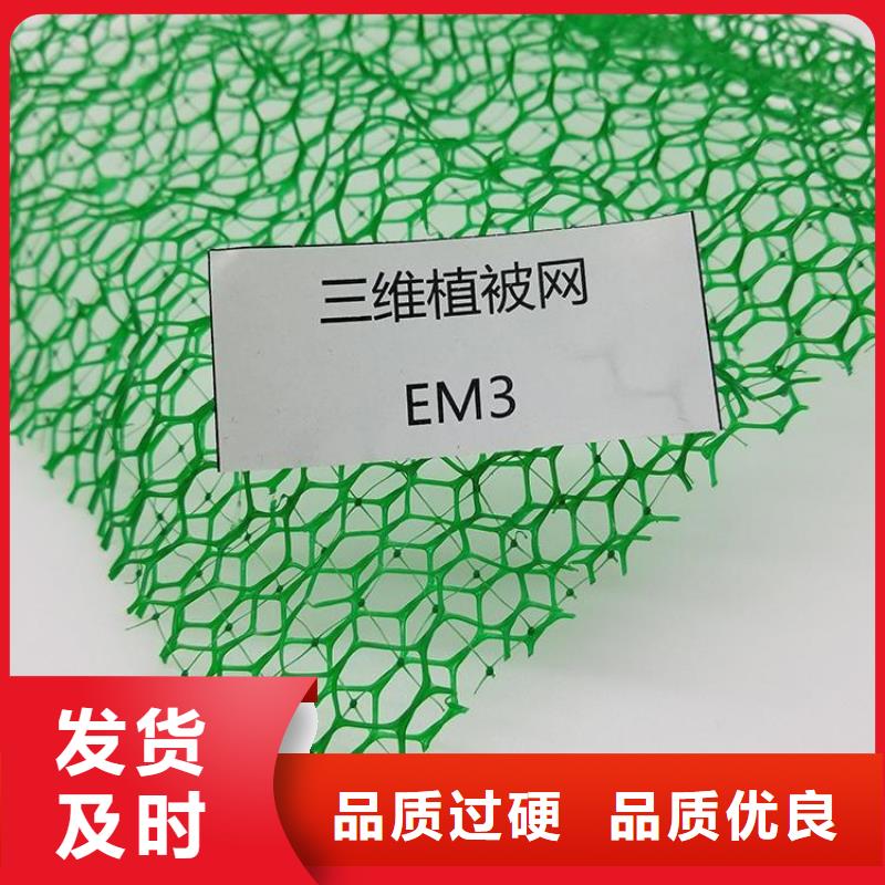 三维植被网【止水条】用心经营当地经销商