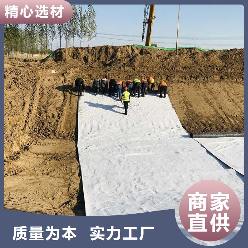 膨润土防水毯【玻纤格栅】工程施工案例源头直供