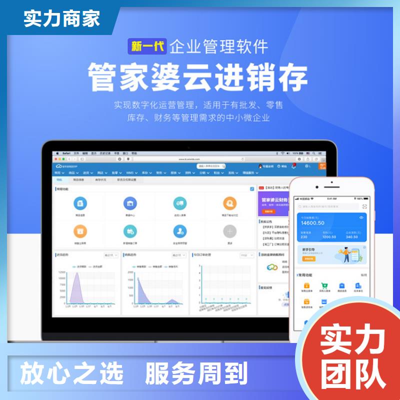 软件进销存软件APP实力团队放心