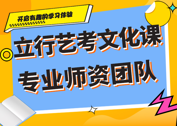 学费艺术生文化课辅导集训定制专属课程实操培训